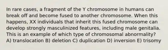 In rare cases, a fragment of the Y chromosome in humans can break off and become fused to another chromosome. When this happens, XX individuals that inherit this fused chromosome can develop strongly masculinized features, including male genitalia. This is an example of which type of chromosomal abnormality? A) translocation B) deletion C) duplication D) inversion E) trisomy