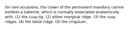 On rare occasions, the crown of the permanent maxillary canine exhibits a tubercle, which is normally associated anatomically with: (1) the cusp tip. (2) either marginal ridge. (3) the cusp ridges. (4) the labial ridge. (5) the cingulum.