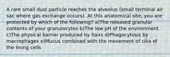 A rare small dust particle reaches the alveolus (small terminal air sac where gas exchange occurs). At this anatomical site, you are protected by which of the following? a)The released granular contents of your granulocytes b)The low pH of the environment c)The physical barrier produced by hairs d)Phagocytosis by macrophages e)Mucus combined with the movement of cilia of the lining cells