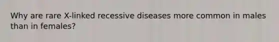 Why are rare X-linked recessive diseases more common in males than in females?