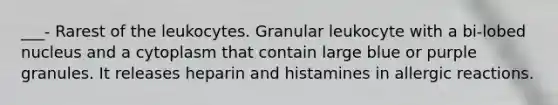 ___- Rarest of the leukocytes. Granular leukocyte with a bi-lobed nucleus and a cytoplasm that contain large blue or purple granules. It releases heparin and histamines in allergic reactions.