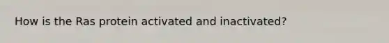 How is the Ras protein activated and inactivated?