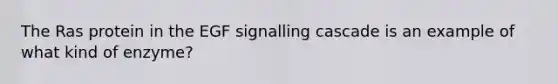 The Ras protein in the EGF signalling cascade is an example of what kind of enzyme?