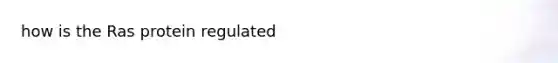 how is the Ras protein regulated