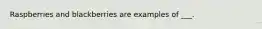 Raspberries and blackberries are examples of ___.