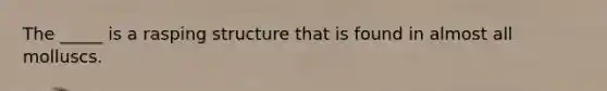 The _____ is a rasping structure that is found in almost all molluscs.