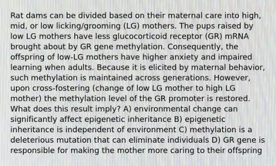 Rat dams can be divided based on their maternal care into high, mid, or low licking/grooming (LG) mothers. The pups raised by low LG mothers have less glucocorticoid receptor (GR) mRNA brought about by GR gene methylation. Consequently, the offspring of low-LG mothers have higher anxiety and impaired learning when adults. Because it is elicited by maternal behavior, such methylation is maintained across generations. However, upon cross-fostering (change of low LG mother to high LG mother) the methylation level of the GR promoter is restored. What does this result imply? A) environmental change can significantly affect epigenetic inheritance B) epigenetic inheritance is independent of environment C) methylation is a deleterious mutation that can eliminate individuals D) GR gene is responsible for making the mother more caring to their offspring