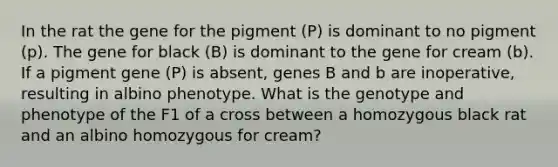 In the rat the gene for the pigment (P) is dominant to no pigment (p). The gene for black (B) is dominant to the gene for cream (b). If a pigment gene (P) is absent, genes B and b are inoperative, resulting in albino phenotype. What is the genotype and phenotype of the F1 of a cross between a homozygous black rat and an albino homozygous for cream?