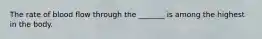 The rate of blood flow through the _______ is among the highest in the body.