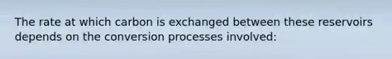 The rate at which carbon is exchanged between these reservoirs depends on the conversion processes involved: