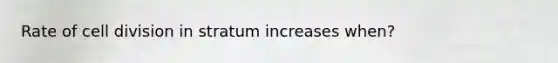 Rate of cell division in stratum increases when?