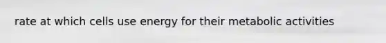 rate at which cells use energy for their metabolic activities
