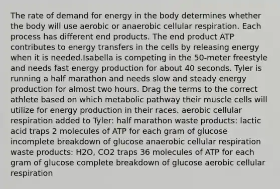 The rate of demand for energy in the body determines whether the body will use aerobic or anaerobic cellular respiration. Each process has different end products. The end product ATP contributes to energy transfers in the cells by releasing energy when it is needed.Isabella is competing in the 50-meter freestyle and needs fast energy production for about 40 seconds. Tyler is running a half marathon and needs slow and steady energy production for almost two hours. Drag the terms to the correct athlete based on which metabolic pathway their muscle cells will utilize for energy production in their races. aerobic cellular respiration added to Tyler: half marathon waste products: lactic acid traps 2 molecules of ATP for each gram of glucose incomplete breakdown of glucose anaerobic cellular respiration waste products: H2O, CO2 traps 36 molecules of ATP for each gram of glucose complete breakdown of glucose aerobic cellular respiration