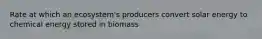 Rate at which an ecosystem's producers convert solar energy to chemical energy stored in biomass