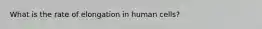 What is the rate of elongation in human cells?
