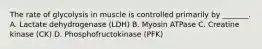 The rate of glycolysis in muscle is controlled primarily by _______. A. Lactate dehydrogenase (LDH) B. Myosin ATPase C. Creatine kinase (CK) D. Phosphofructokinase (PFK)