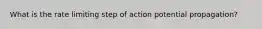 What is the rate limiting step of action potential propagation?