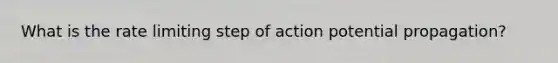 What is the rate limiting step of action potential propagation?