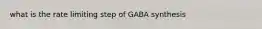 what is the rate limiting step of GABA synthesis