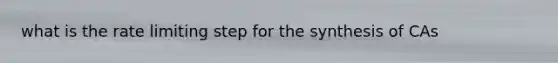 what is the rate limiting step for the synthesis of CAs