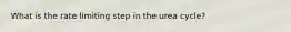 What is the rate limiting step in the urea cycle?