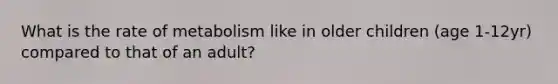 What is the rate of metabolism like in older children (age 1-12yr) compared to that of an adult?