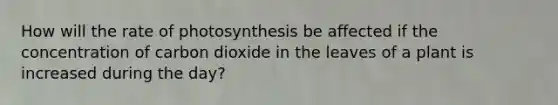 How will the rate of photosynthesis be affected if the concentration of carbon dioxide in the leaves of a plant is increased during the day?