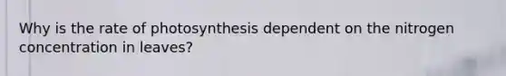 Why is the rate of photosynthesis dependent on the nitrogen concentration in leaves?