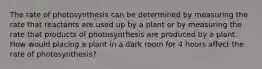 The rate of photosynthesis can be determined by measuring the rate that reactants are used up by a plant or by measuring the rate that products of photosynthesis are produced by a plant. How would placing a plant in a dark room for 4 hours affect the rate of photosynthesis?