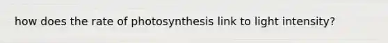 how does the rate of photosynthesis link to light intensity?