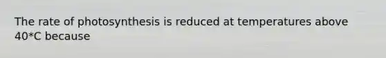 The rate of photosynthesis is reduced at temperatures above 40*C because