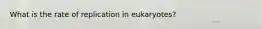 What is the rate of replication in eukaryotes?