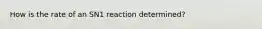 How is the rate of an SN1 reaction determined?