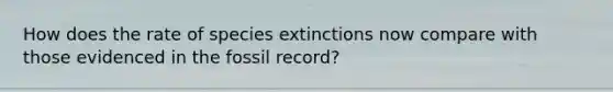 How does the rate of species extinctions now compare with those evidenced in the fossil record?