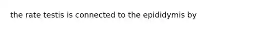 the rate testis is connected to the epididymis by