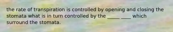 the rate of transpiration is controlled by opening and closing the stomata what is in turn controlled by the _____ ____ which surround the stomata.