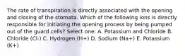 The rate of transpiration is directly associated with the opening and closing of the stomata. Which of the following ions is directly responsible for initiating the opening process by being pumped out of the guard cells? Select one: A. Potassium and Chloride B. Chloride (Cl-) C. Hydrogen (H+) D. Sodium (Na+) E. Potassium (K+)