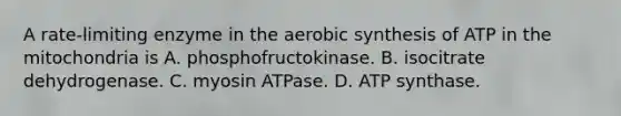 A rate-limiting enzyme in the aerobic synthesis of ATP in the mitochondria is A. phosphofructokinase. B. isocitrate dehydrogenase. C. myosin ATPase. D. ATP synthase.