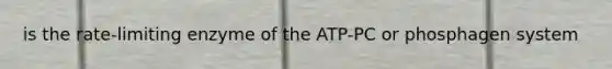 is the rate-limiting enzyme of the ATP-PC or phosphagen system