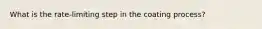What is the rate-limiting step in the coating process?