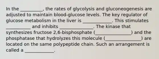 In the __________, the rates of glycolysis and gluconeogenesis are adjusted to maintain blood-glucose levels. The key regulator of glucose metabolism in the liver is _____________. This stimulates ___________ and inhibits _______________. The kinase that synthesizes fructose 2,6-bisphosphate (________________) and the phosphatase that hydrolyzes this molecule (________________) are located on the same polypeptide chain. Such an arrangement is called a _____________.