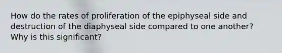 How do the rates of proliferation of the epiphyseal side and destruction of the diaphyseal side compared to one another? Why is this significant?