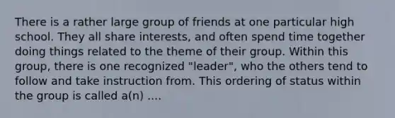 There is a rather large group of friends at one particular high school. They all share interests, and often spend time together doing things related to the theme of their group. Within this group, there is one recognized "leader", who the others tend to follow and take instruction from. This ordering of status within the group is called a(n) ....