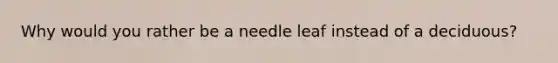 Why would you rather be a needle leaf instead of a deciduous?