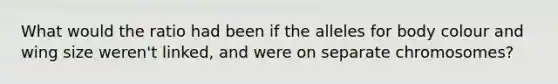 What would the ratio had been if the alleles for body colour and wing size weren't linked, and were on separate chromosomes?