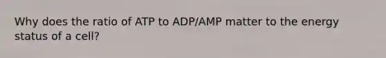 Why does the ratio of ATP to ADP/AMP matter to the energy status of a cell?