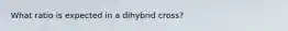 What ratio is expected in a dihybrid cross?