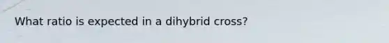 What ratio is expected in a dihybrid cross?