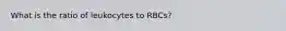 What is the ratio of leukocytes to RBCs?