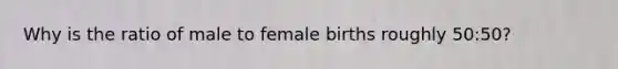 Why is the ratio of male to female births roughly 50:50?